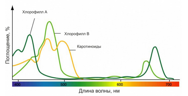 Спектр света воспринимаемый растениями 